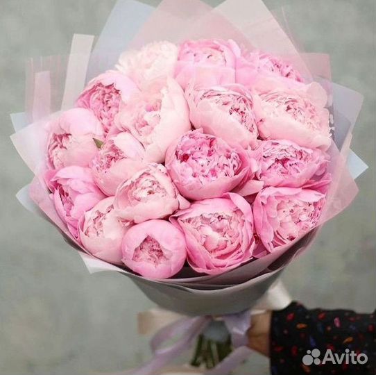 Пионы Цветы Доставка