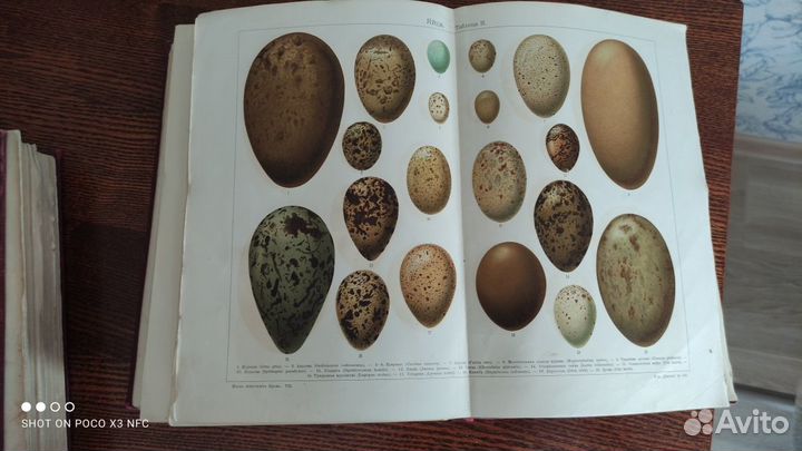 Старинные книги