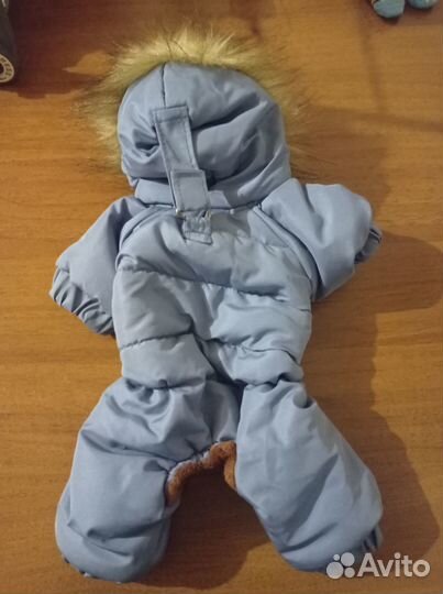 Одежда для маленьких собак xs