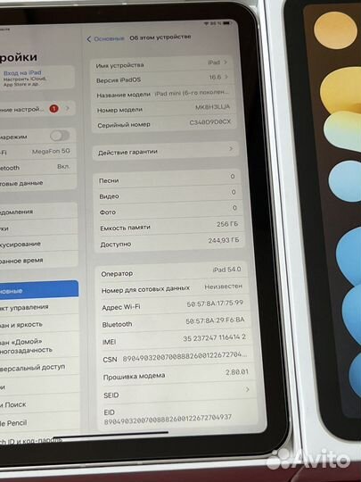 iPad Mini 6 2021 256Gb WiFi+ Cellular