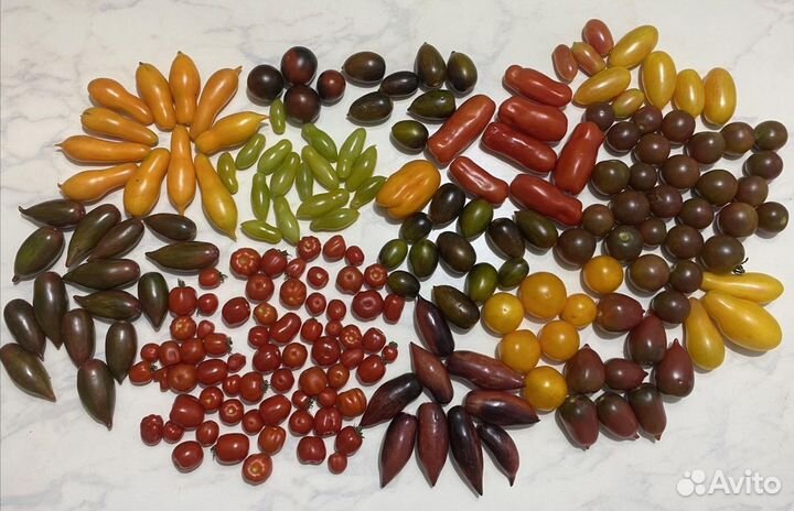 Семена помидор