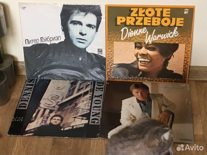 Виниловые пластинки