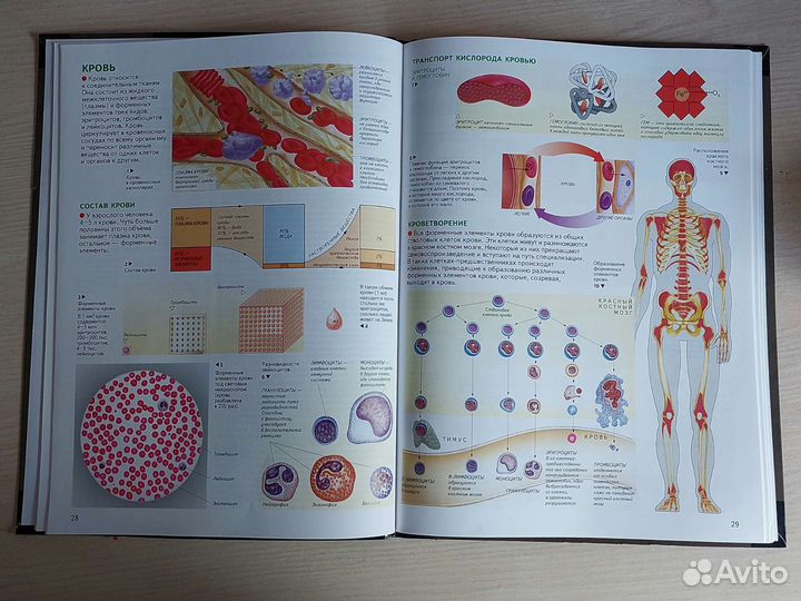 Пособия для подготовки к егэ химия/биология/рус