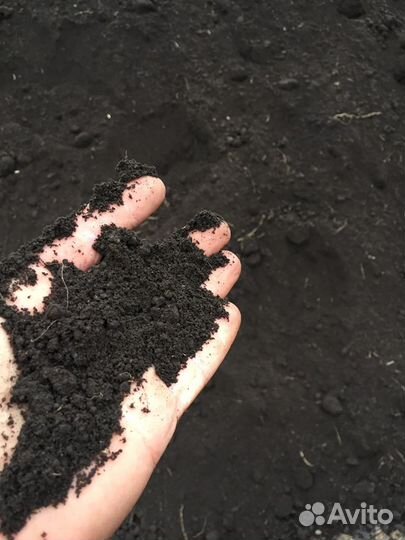 Земля чернозем