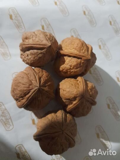 Редкий трёхстворчатый орех