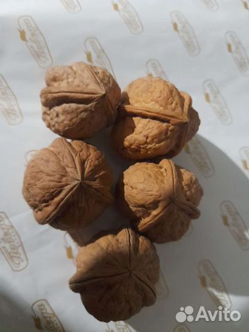 Редкий трёхстворчатый орех