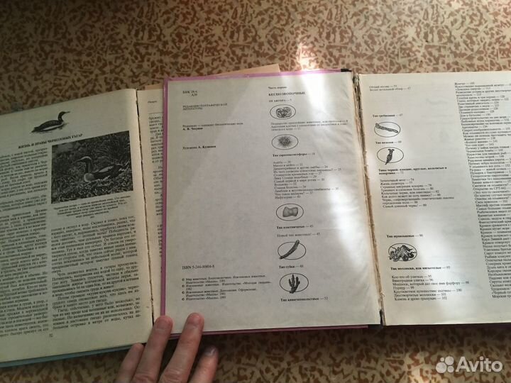 Мир животных И. Акимушкин