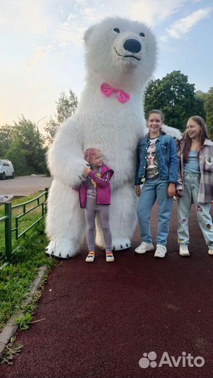 Белый Мишка поздравление