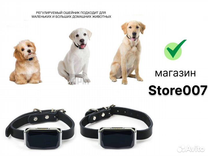 GPS-трекер G12P для животных