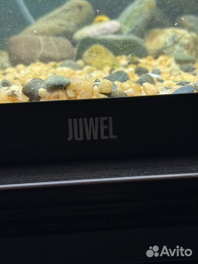 Иаквариум juwel 120 + фильтр eheim experienc