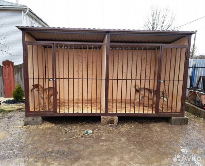 Вольер для двух собак с перегородкой.два входа