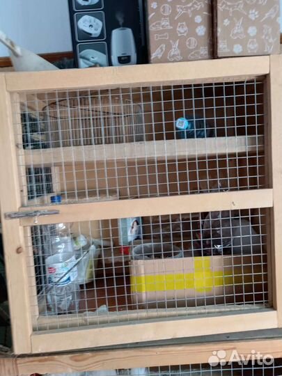 Клетка для грызунов