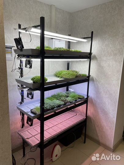Стеллаж для выращивания микрозелени