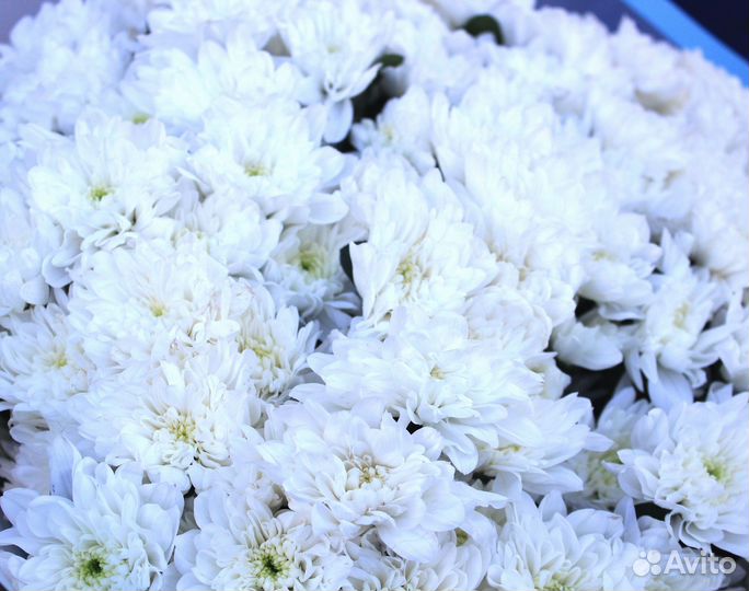 Букет Цветов +С Доставкой