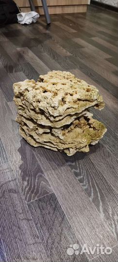 Песчанник и грунт