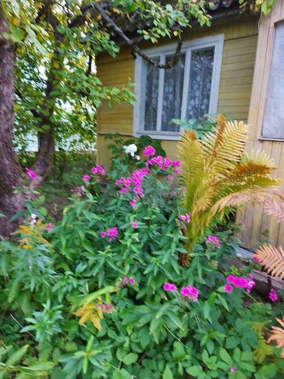 Дача 25 м² на участке 5 сот.