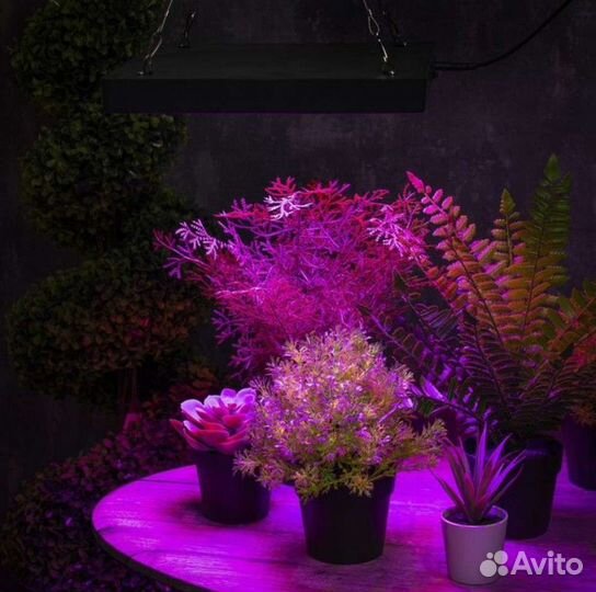 Фитосветильник для растений