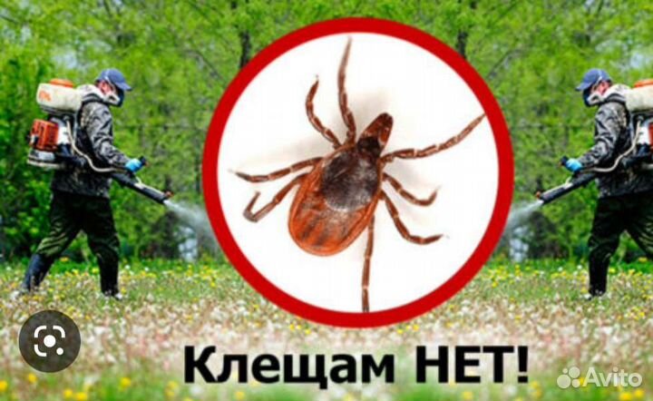 Обработка участка от клеща и комаров