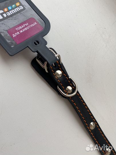 Ошейник кожа для мелких собак кошек