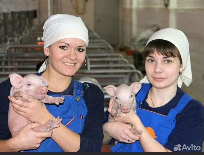 Оператор по уходу за животными