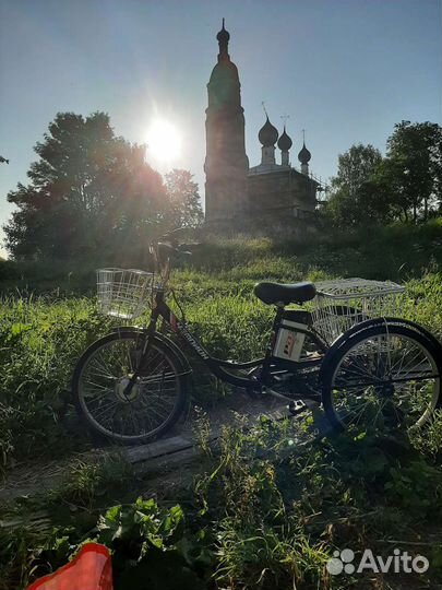 Электровелосипед трехколесный рвз Чемпион 24