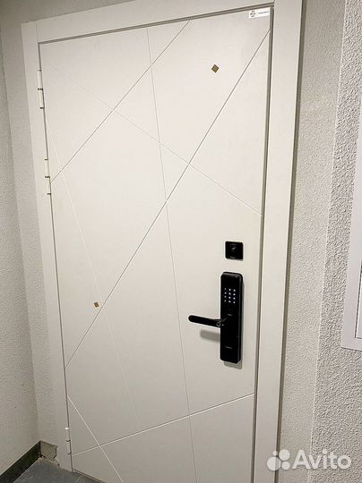 Двери металлические