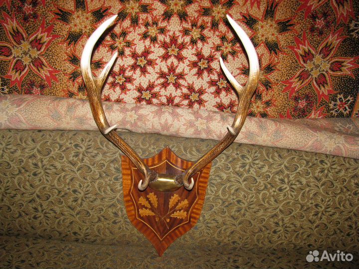 Продаются рога оленя настенный декор 70 см