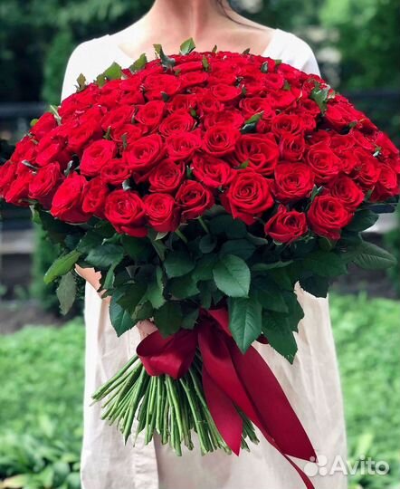 Высокие розы