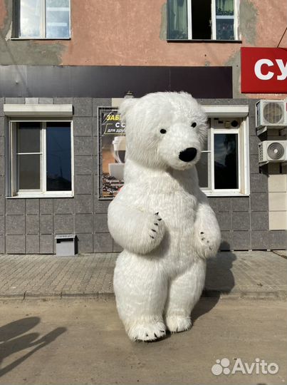 Аниматоры Мишка Тедди. Поздравления