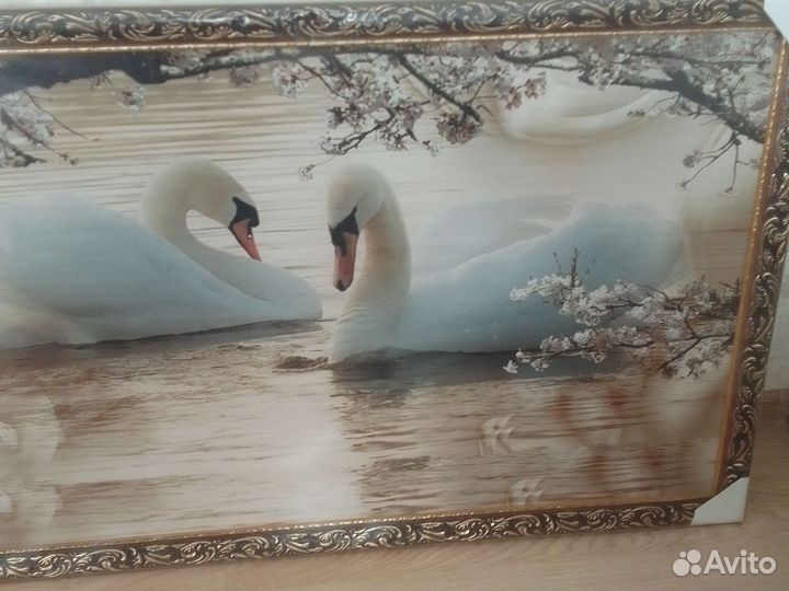 Картина 2 белых лебедя