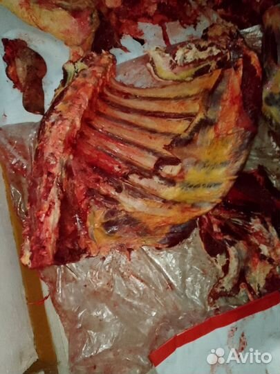 Мясо говядина стегна