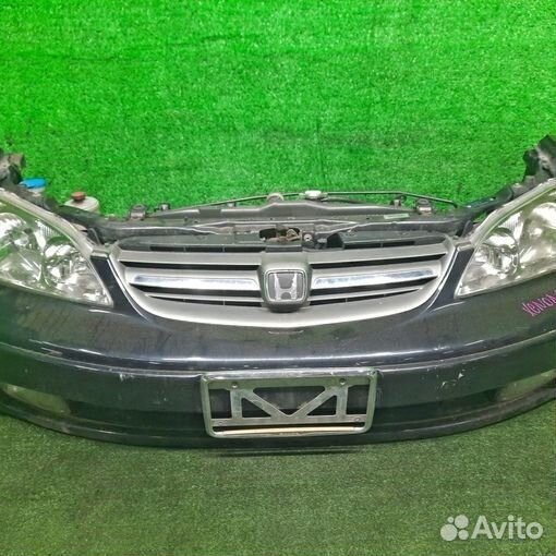 Ноускат Nosecut honda avancier TA4 J30A