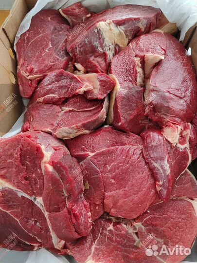 Мясо говядина на кости и без кости