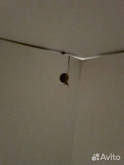 Полка настенная