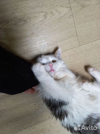 Сестрёнки Буся и Дуся