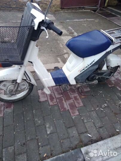 Suzuki super mollet