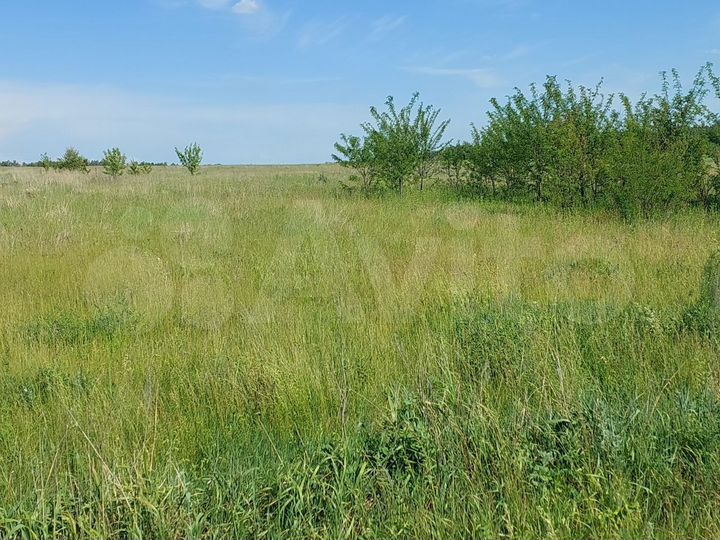 Участок 22,5 сот. (СНТ, ДНП)