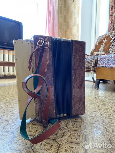 Баян Ростов дон