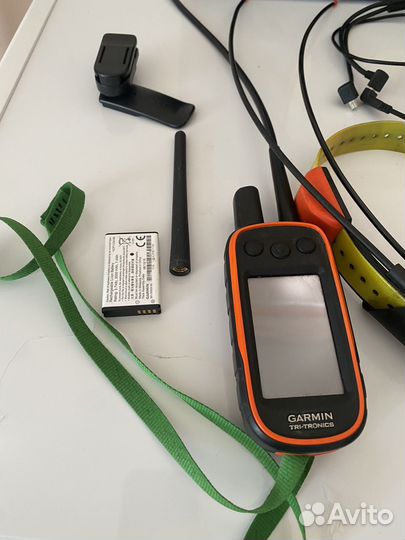 Навигатор garmin alpha 100 с ошейником t5