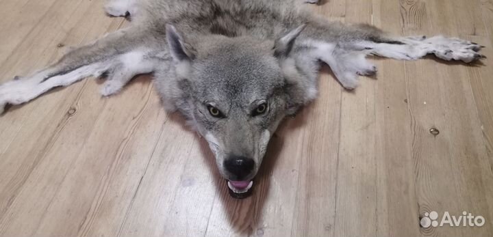 Ковер из шкуры волка