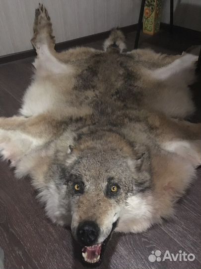 Шкура Волка