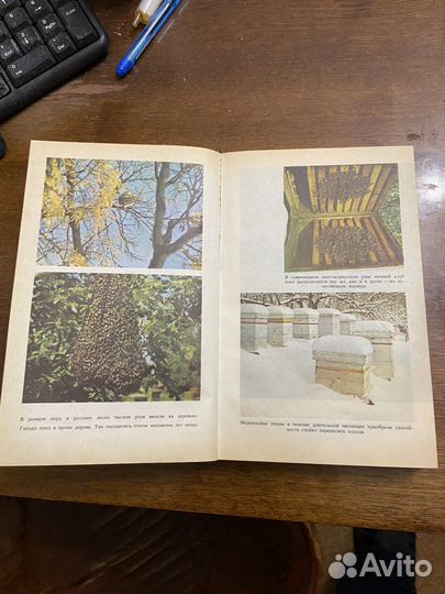 Книга «Русское пчеловодство»