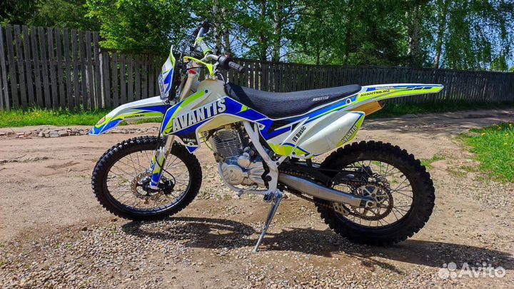 Avantis FX 250