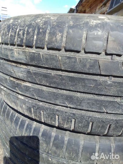 Accelera Beta 4.5 R4 19