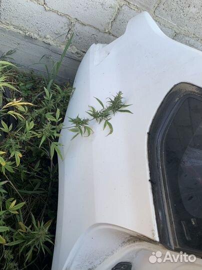 Крыля хвост целиком nissan teana j32 задние