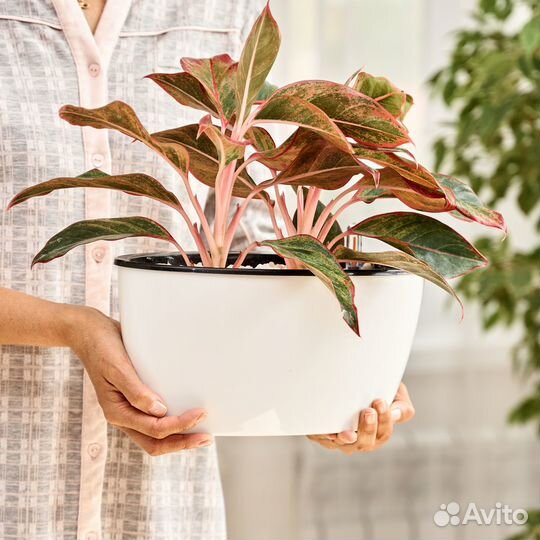 Предметная фотосъёмка для маркетплейсов. Видео