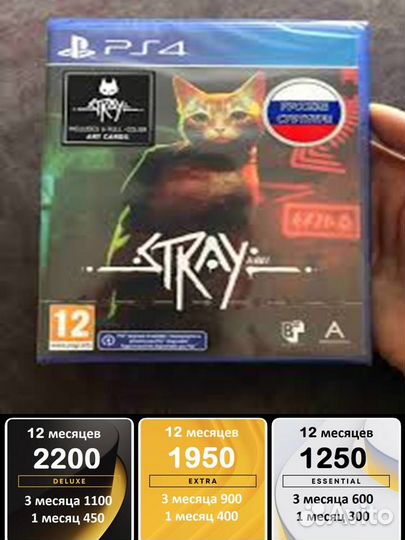 Stray, Quarry, fifa 23, GTA