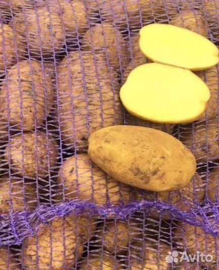 Картофель домашний с доставкой