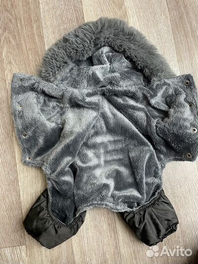 Одежда для собак