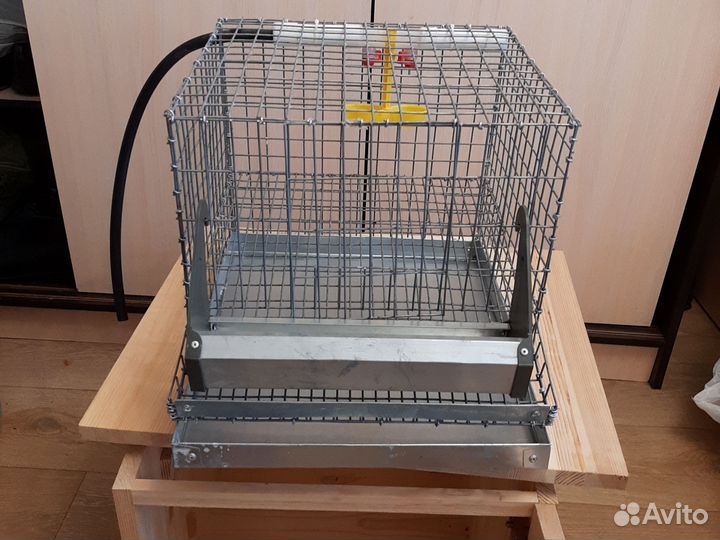 Клетка для перепелов